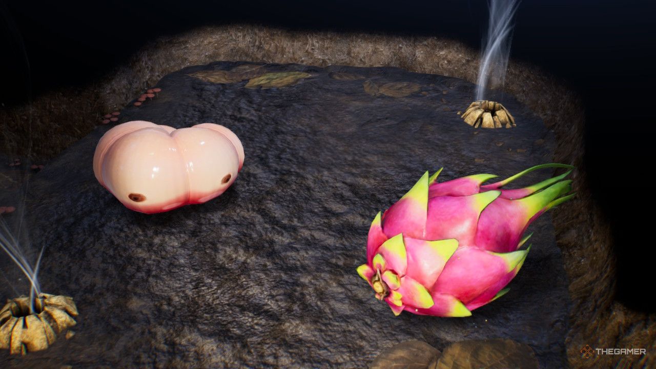 dragonfruit by an empress bulbax  treasure in Pikmin 4
