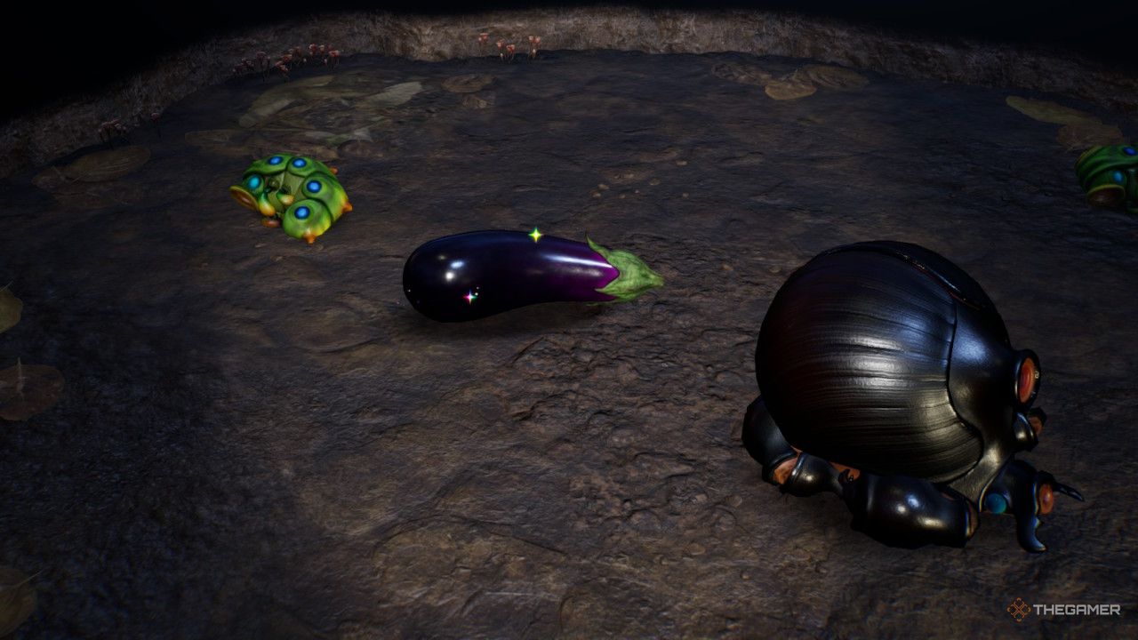 eggplant by dead beetle treasure in Pikmin 4