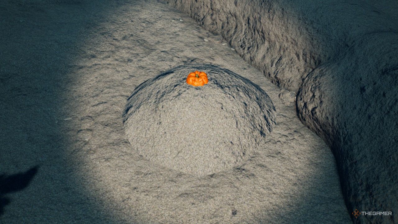 fruit goard thing buried in sand treasure in Pikmin 4