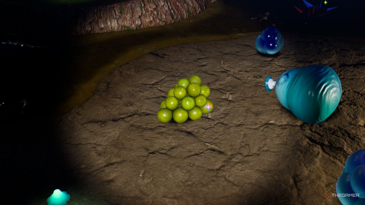 grapes by a cold blowhog  treasure in Pikmin 4