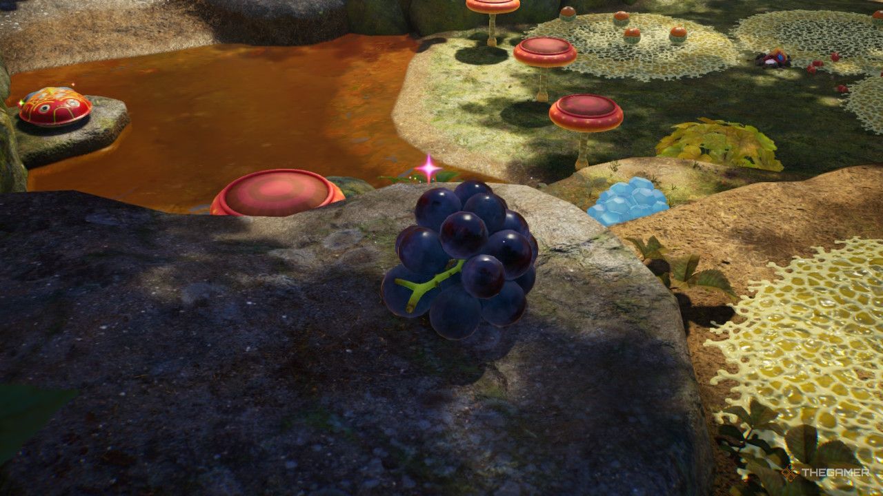grapes overlooking muck treasure in Pikmin 4