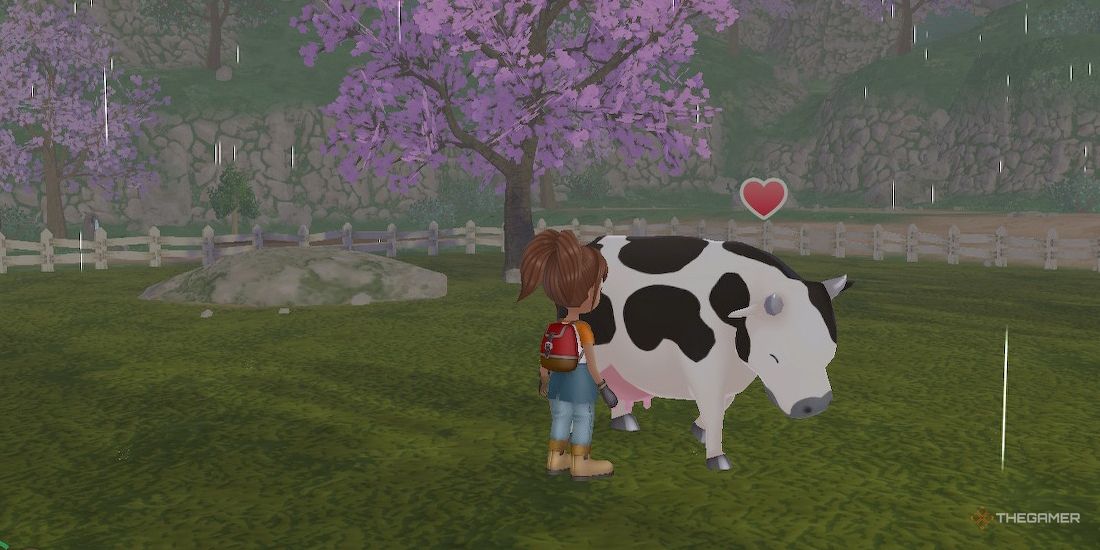Interact With Cow In Rain In SoS A Wonderful Life-1
