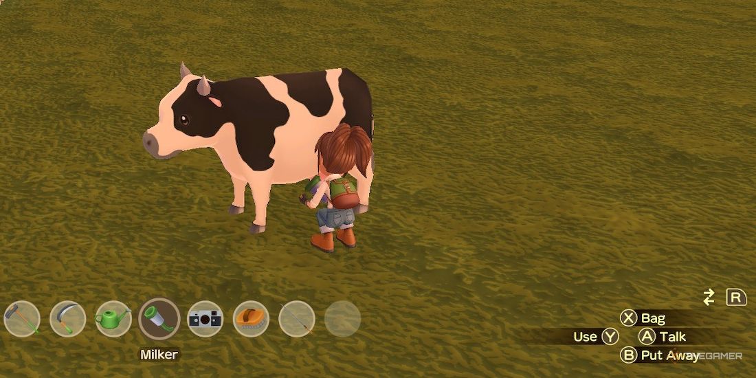 Protagonist milks a cow in SoS A Wonderful Life
