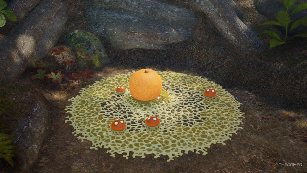 orange in goo treasure in Pikmin 4