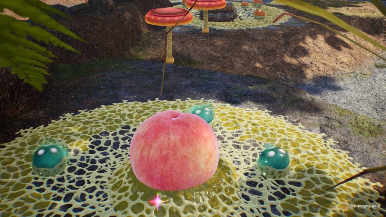 peach in goo treasure in Pikmin 4