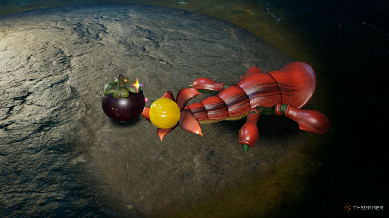 plum near lobster treasure in Pikmin 4