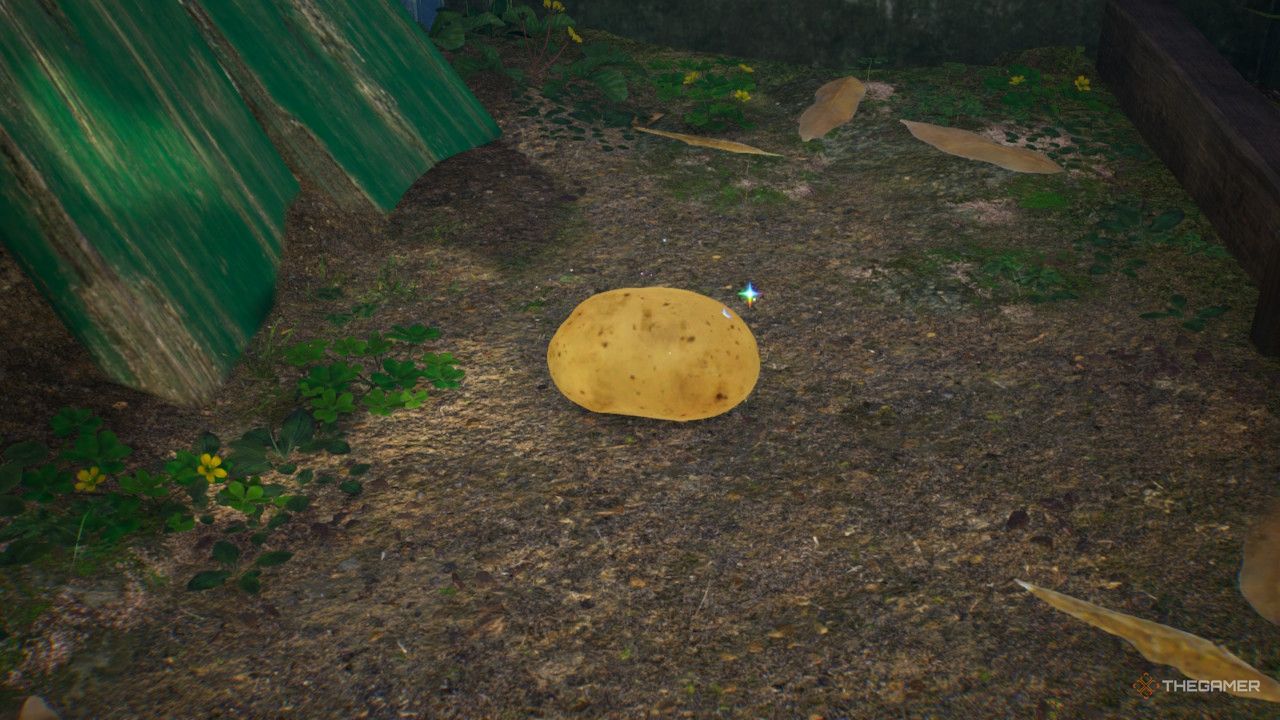 Potato  treasure in Pikmin 4