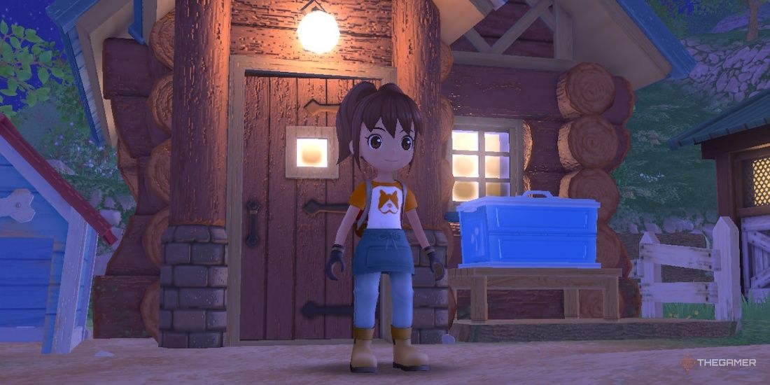 Protagonist stands in front of house at night in SoS: A Wonderful Life