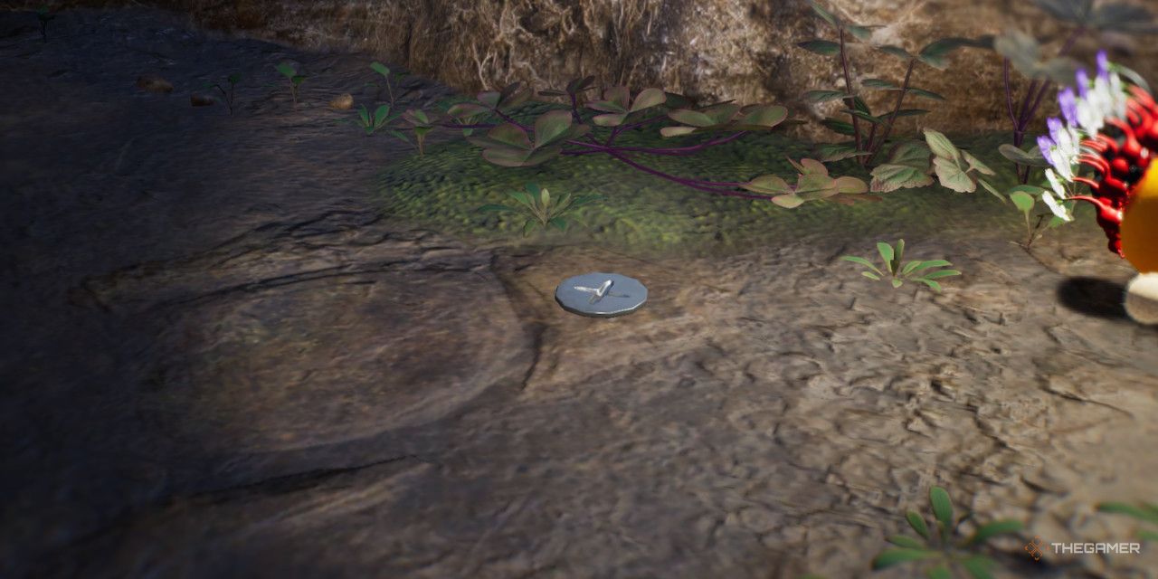 Screw in the ground in Pikmin 4