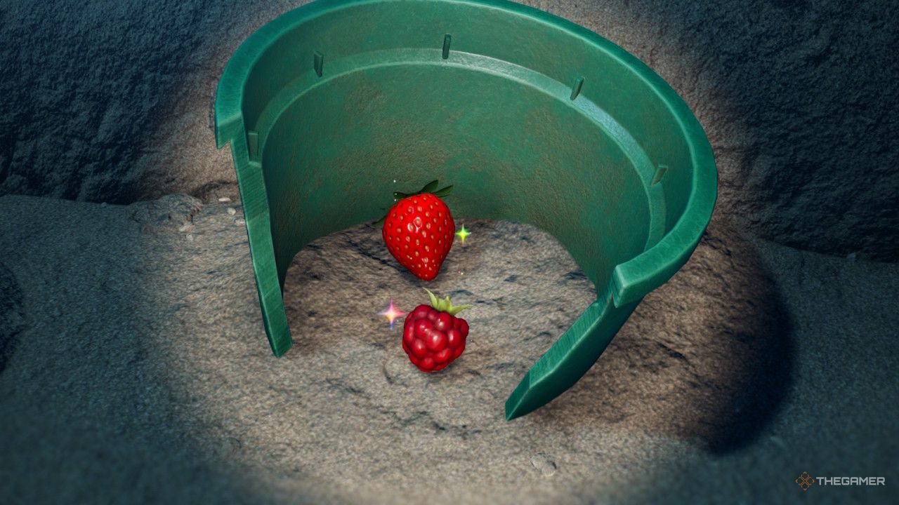 straw berry and raspberry treasure in Pikmin 4