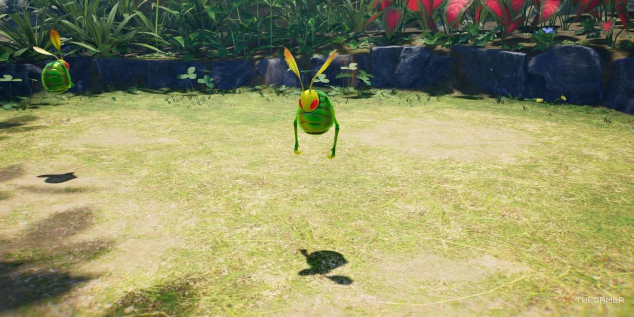 Swooping Snitchbug from Pikmin 4