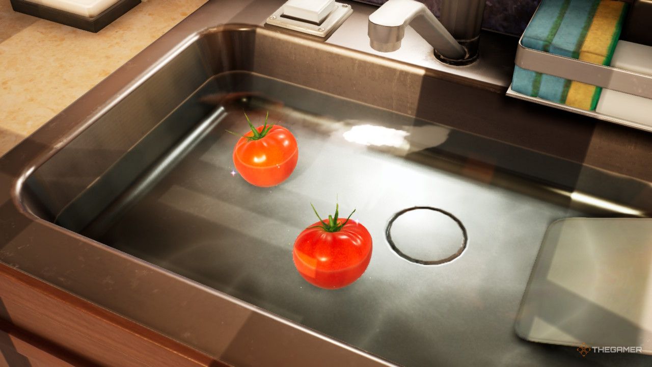two tomatoes in the sink treasure in Pikmin 4