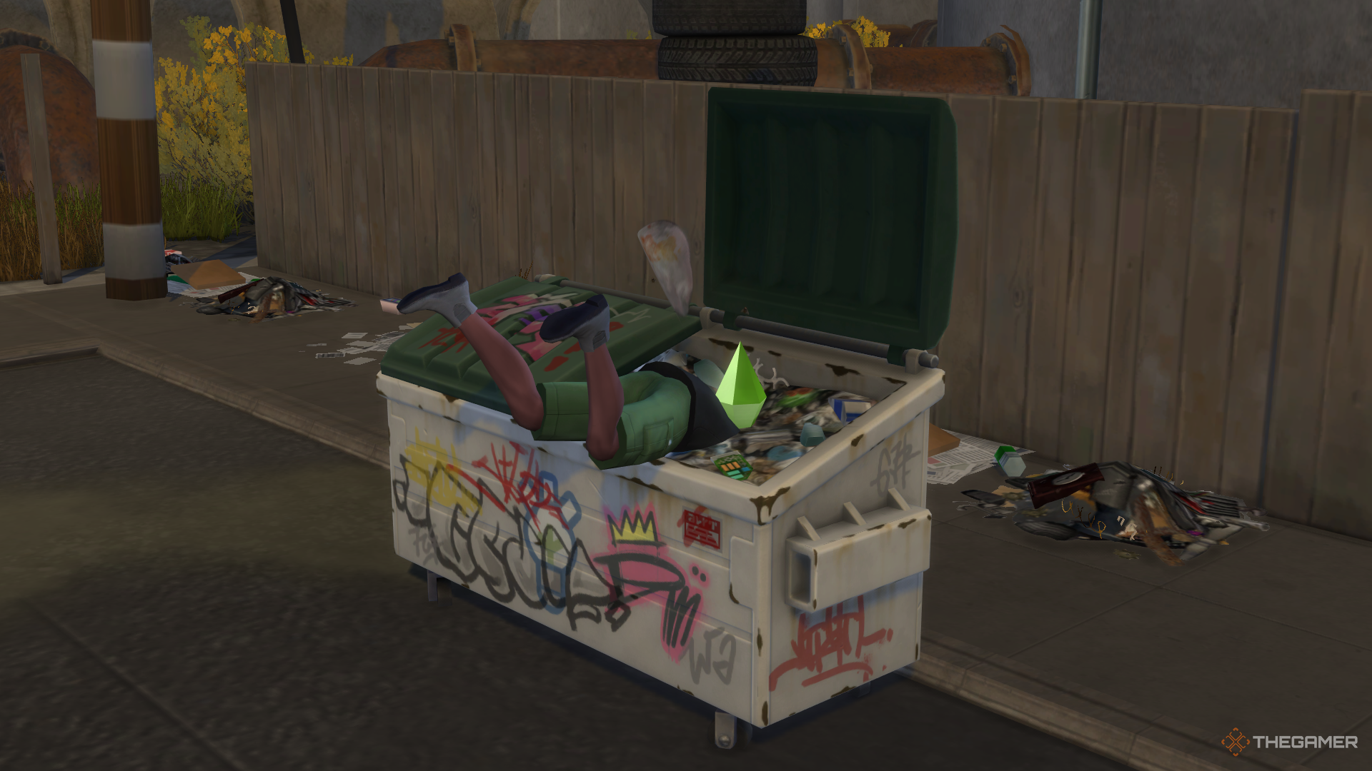 Diving for meals in a dumpster at Evergreen Harbor.