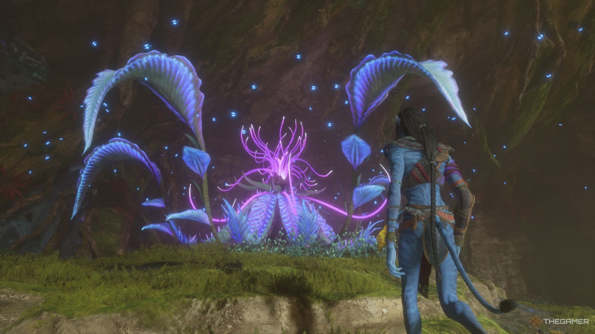Approaching A Tarsyu Flower Avatar Frontiers of Pandora