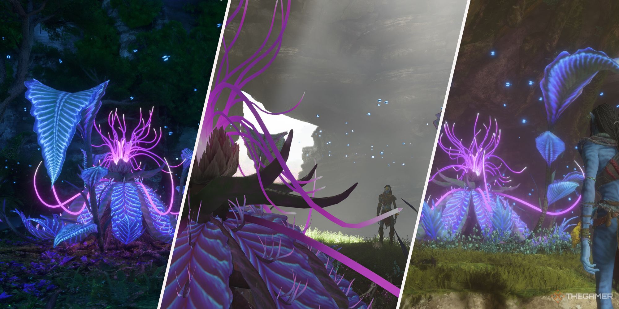 Avatar Frontiers Of Pandora Combined images of Tarsyu Flowers
