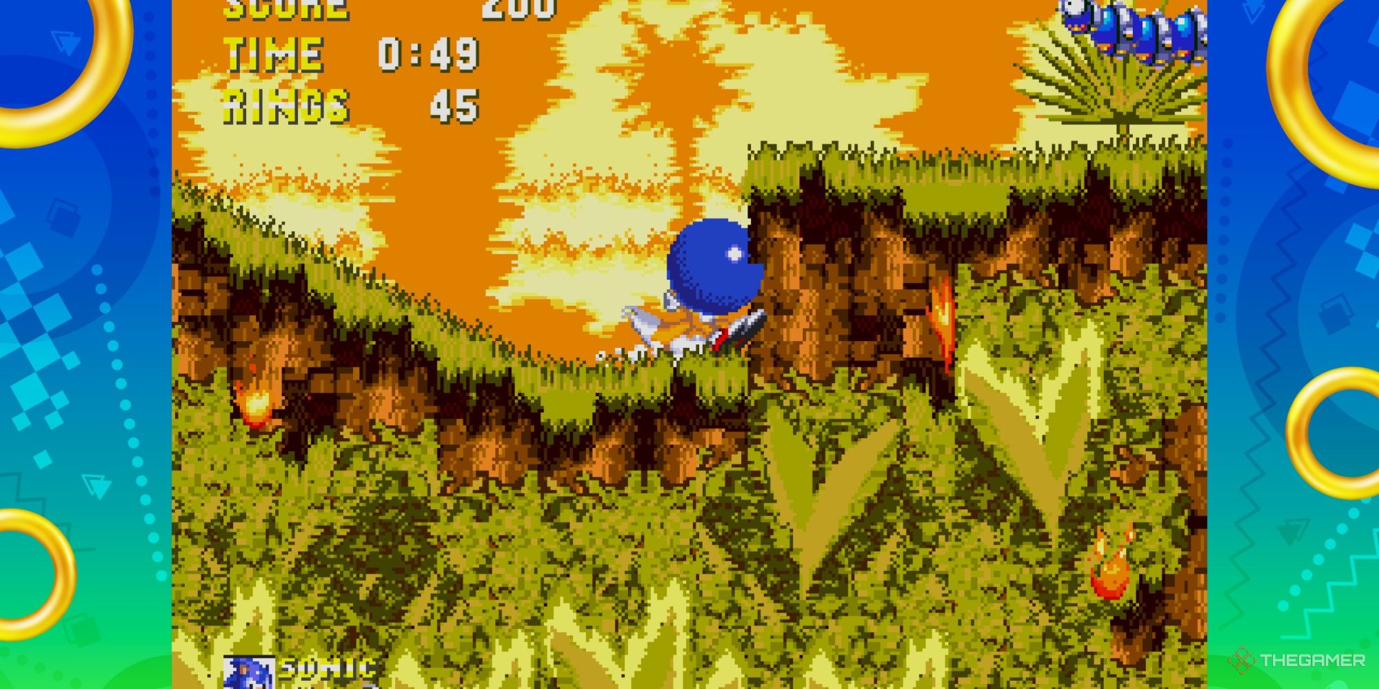 Screenshot of the first level of Sonic 3 & Knuckles