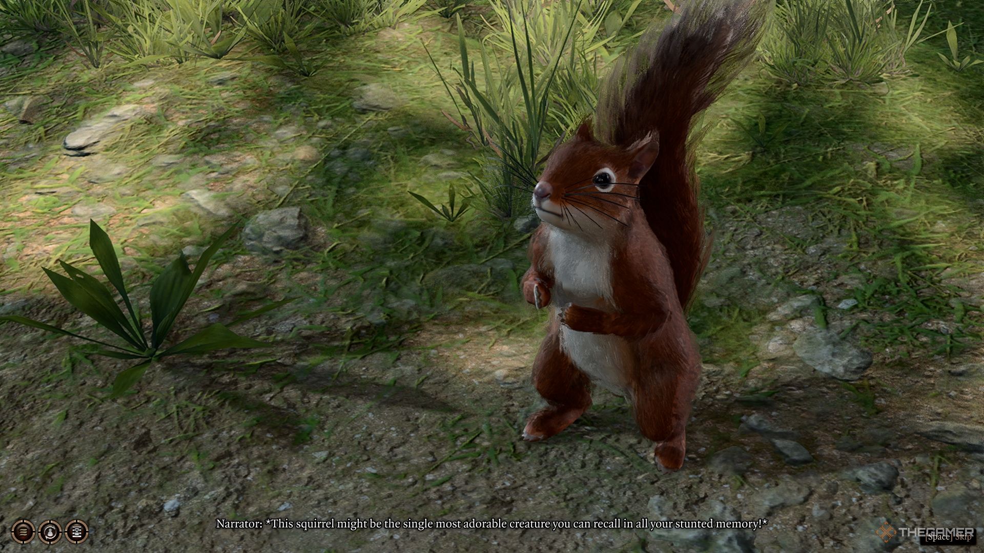 Timber the squirrel Baldur's Gate 3