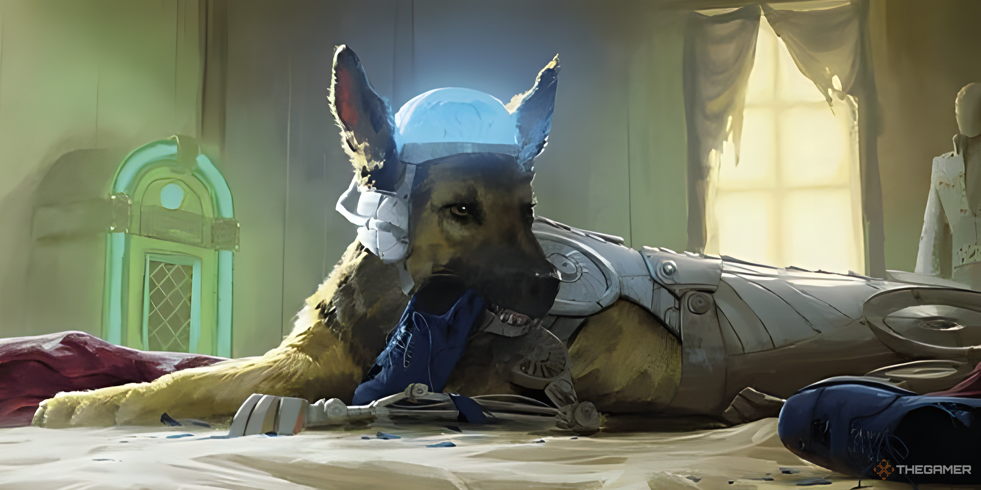 Rex chewing a blue sneaker.
