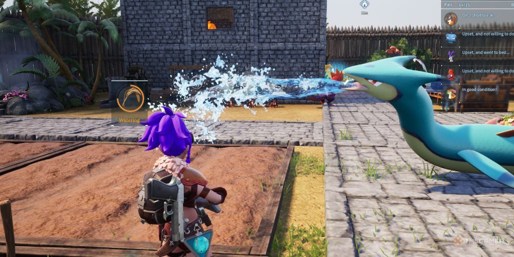 Surfent watering wheat in Palworld