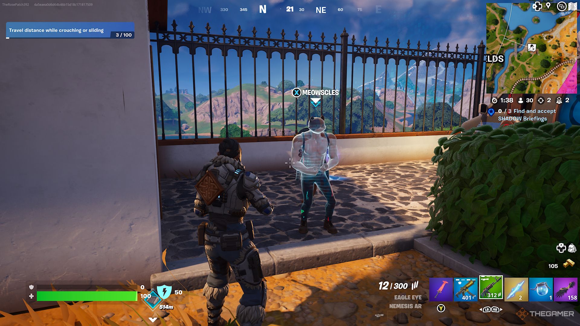 Meowscles at house near Fencing Fields in Fortnite Chapter 5 Season 2