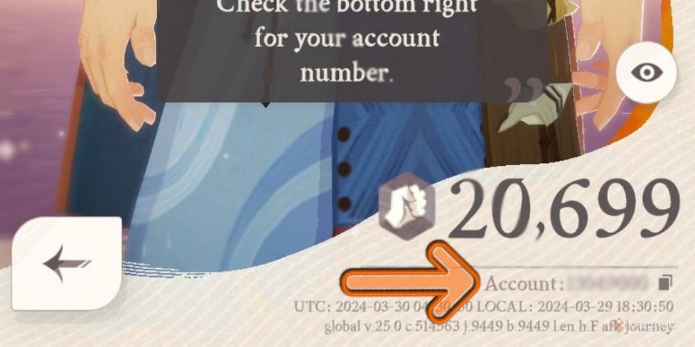 Your account number is on the bottom right of your character window.