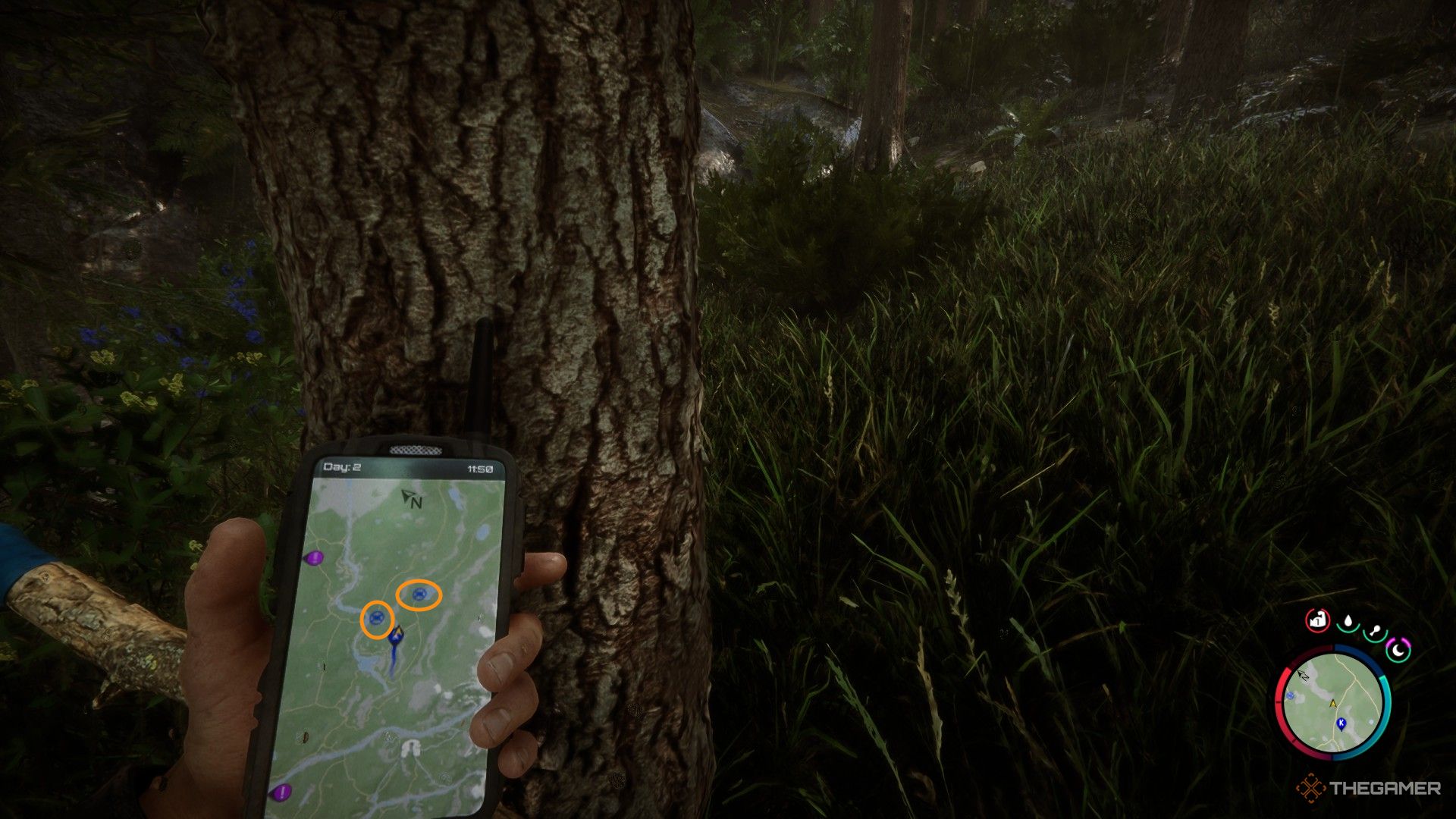 A screenshot from Sons of the Forest showing the player character looking at the map with orange circles highlighting the blue steering wheels.