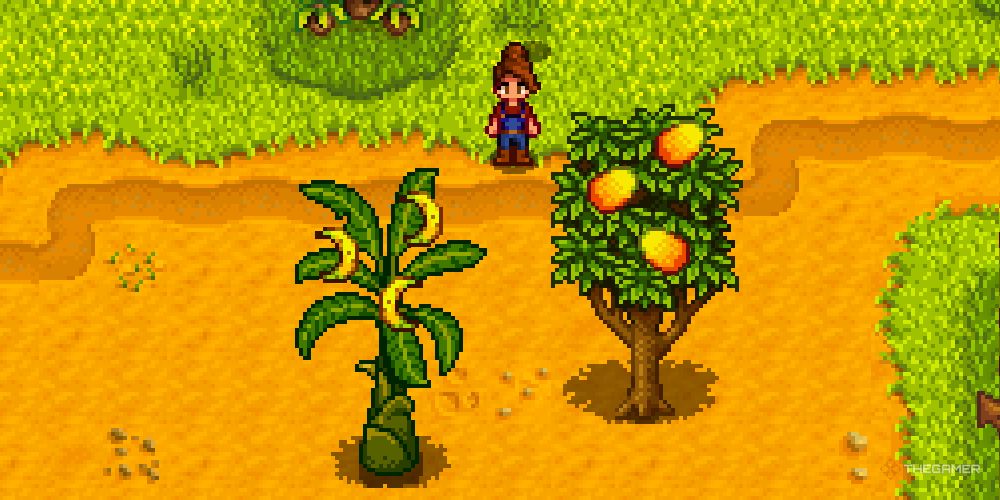 A mango and banana tree on Ginger Island in Stardew Valley.
