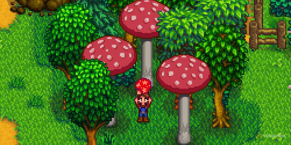 A cluster of mushroom trees in Stardew Valley, with the player holding a tree seed.
