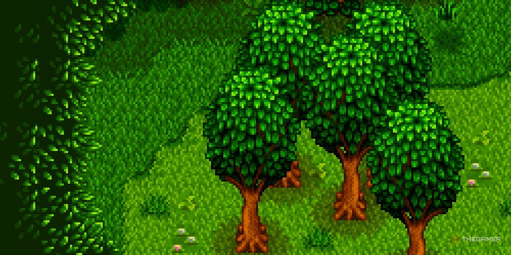A cluster of Oak Trees in Stardew Valley