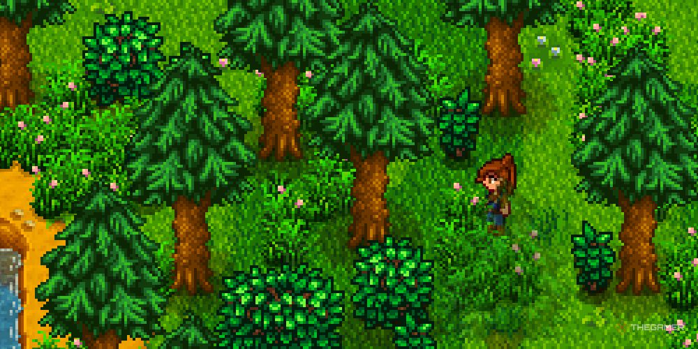 Several pine trees and bushes in Cindersap Forest. 