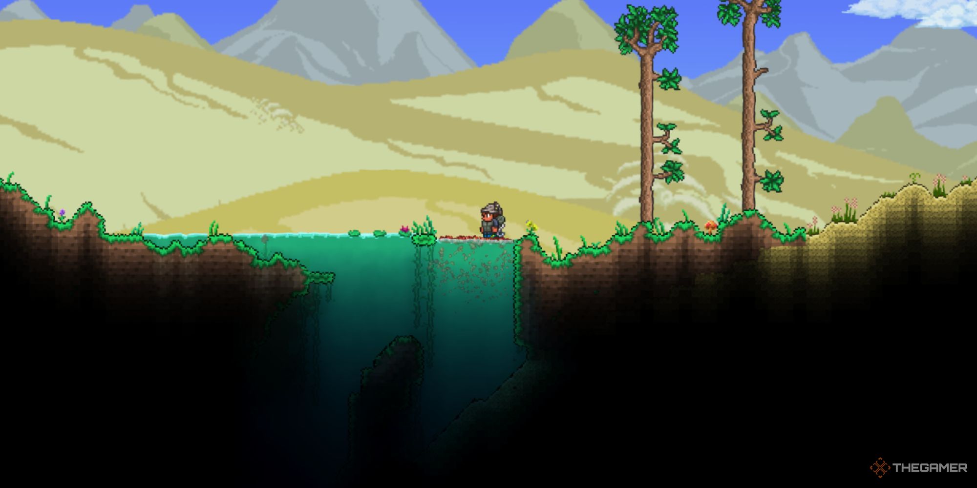 A player dumping a bunch of chum into a small, blue and teal pond.
