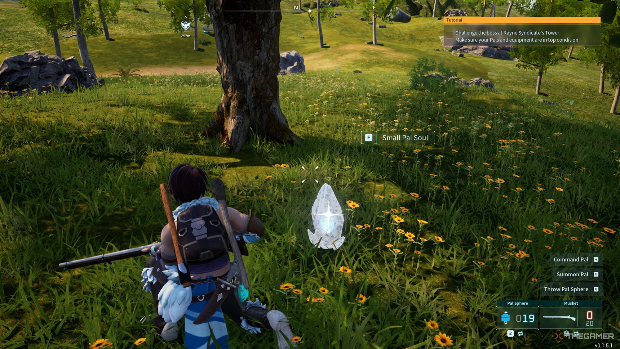 Palworld - Player Next To Small Pal Soul
