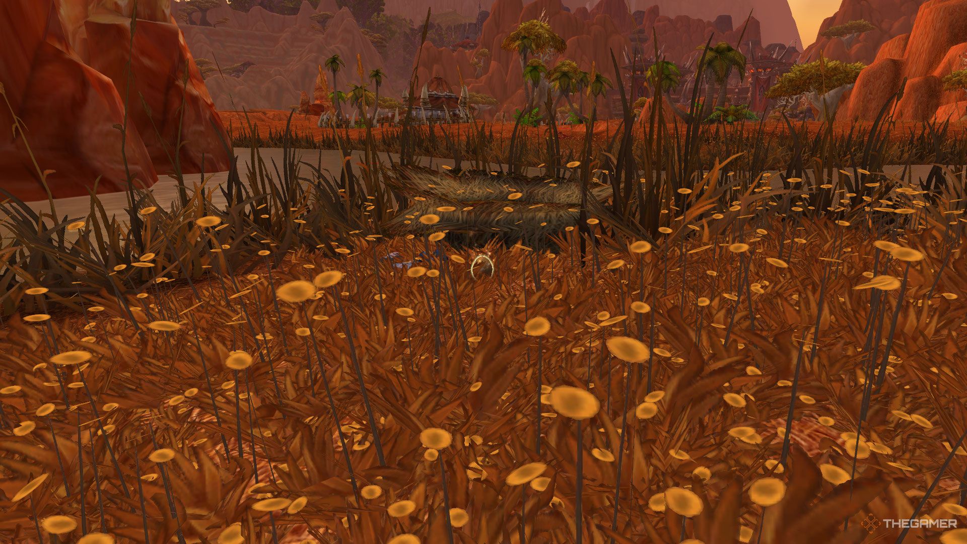 The Golden Egg Heirloom by Daetan's nest in Durotar World of Warcraft.