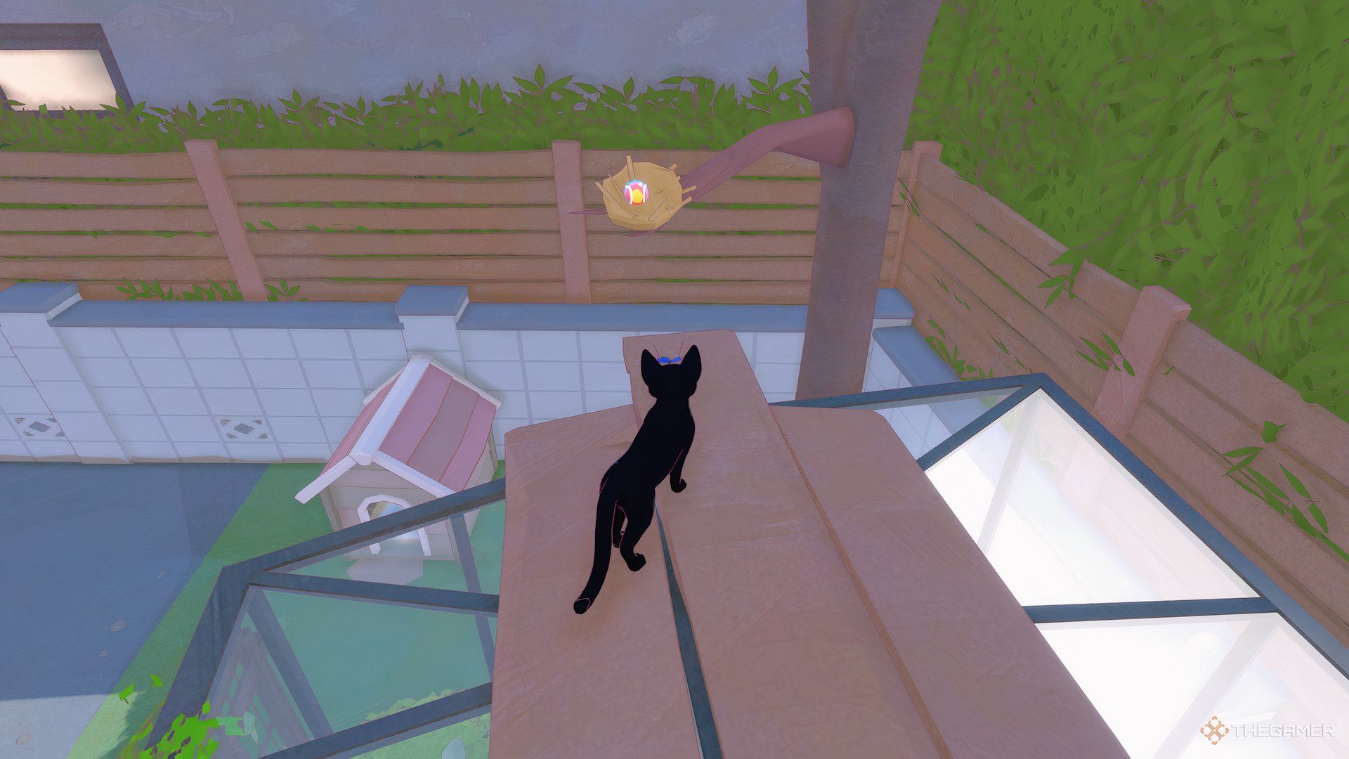 Standing on top fo the greenhouse, dog house below, in front is the tree branch with the rainbow ball in it in Little Kitty, Big City.