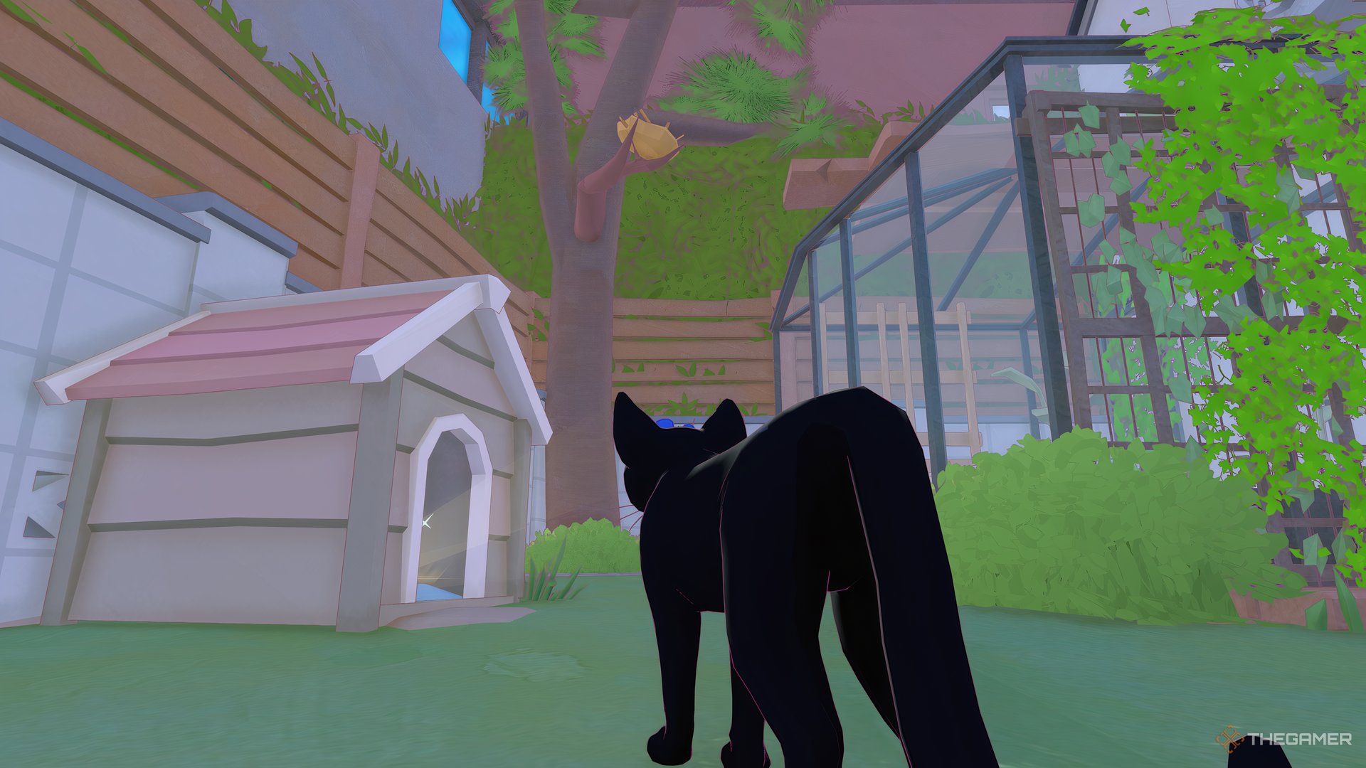 Dog house on the left, cat facing tree looking up at nest, greenhouse on the right in Little Kitty, Big City.