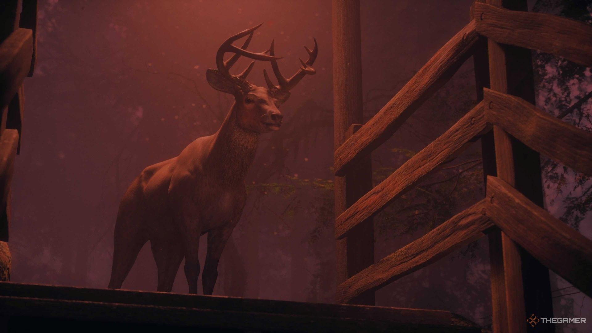 The deer that guides Rose in Alan Wake 2 Night Springs Number One Fan