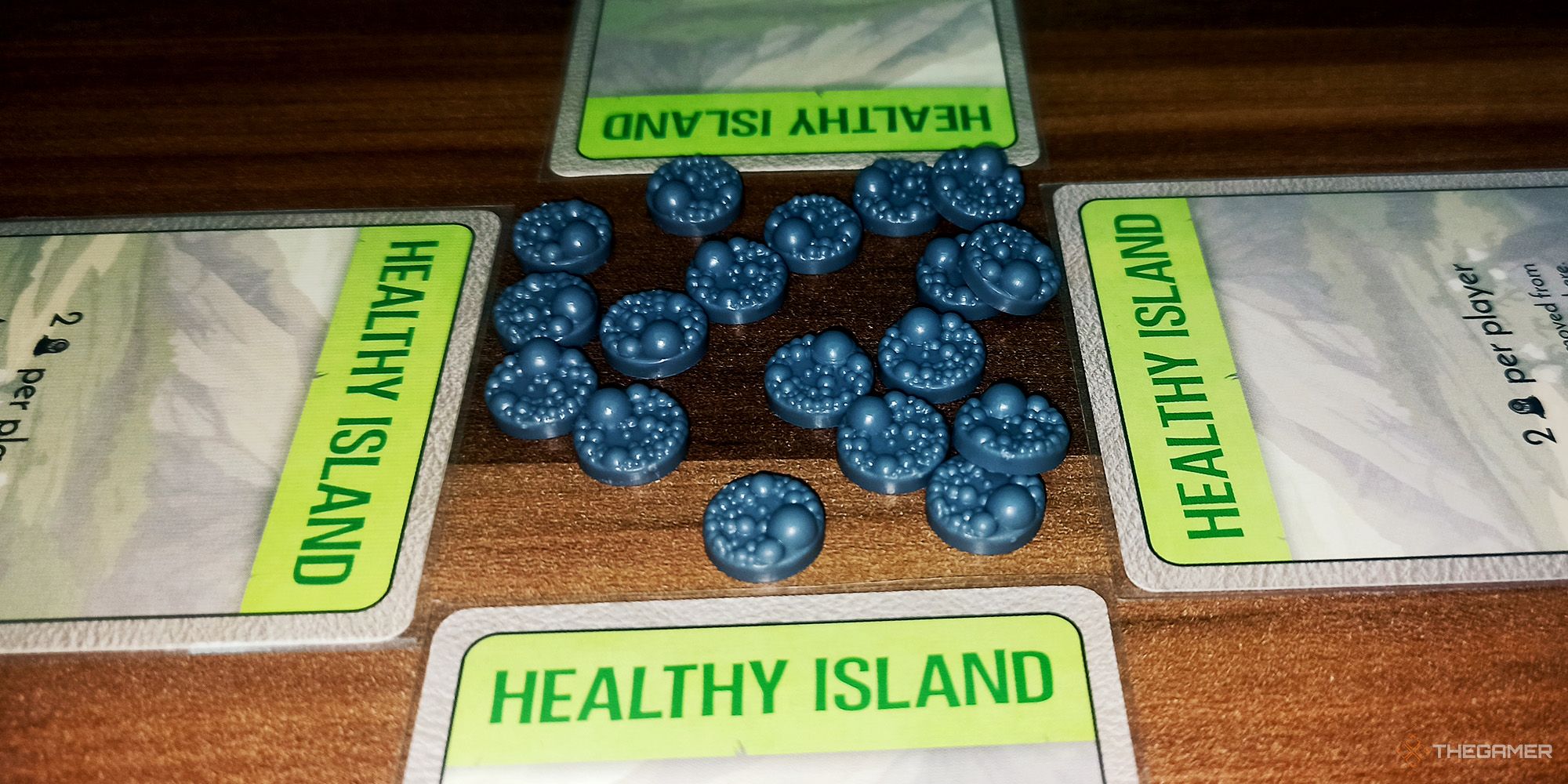 Blight cards and Blight tokens are being shown in Spirit Island