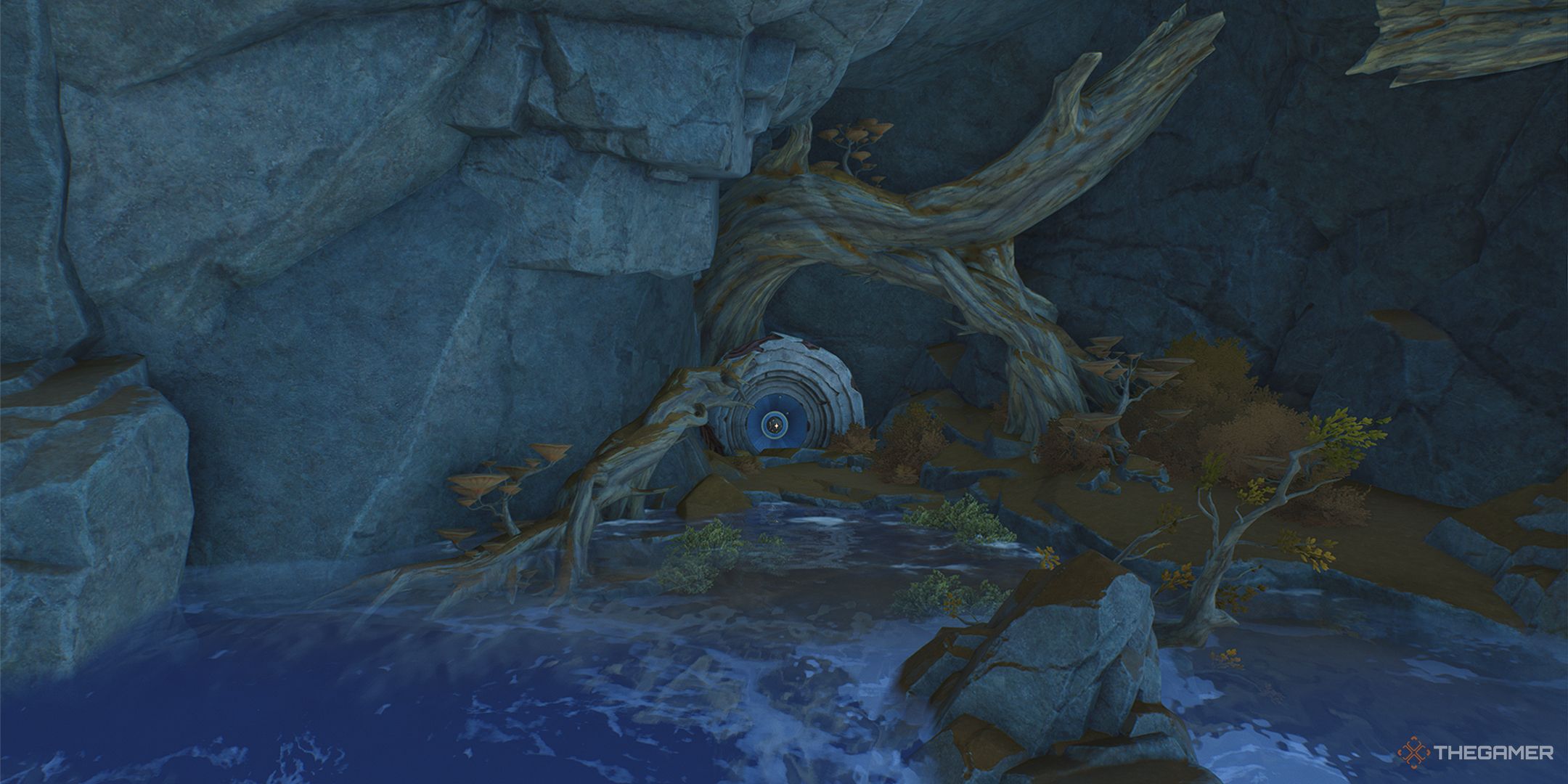 perspective bender domain entrance with twisted tree roots around a door.
