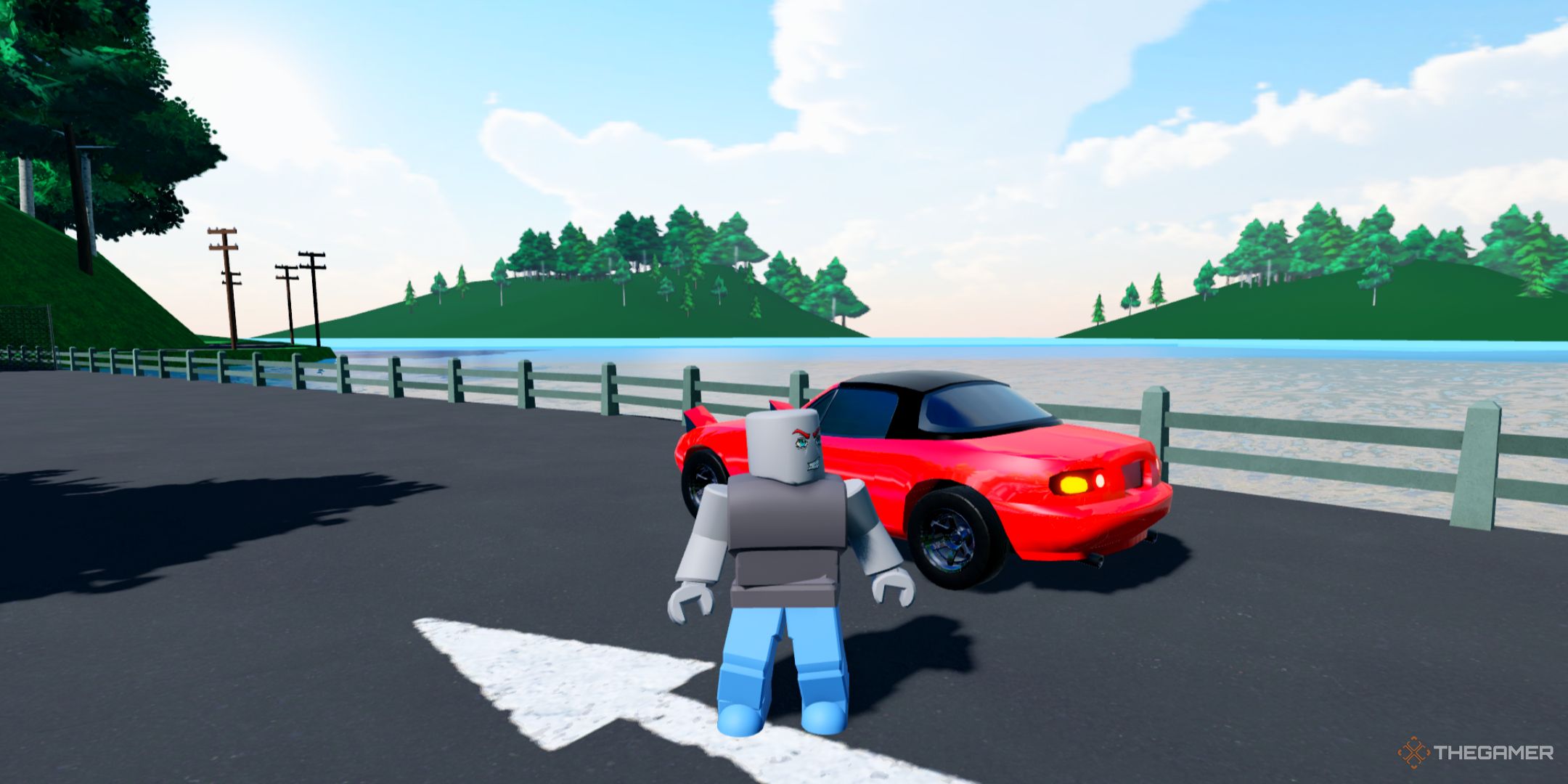 a player standing next to his car Roblox: Highway Hooligans