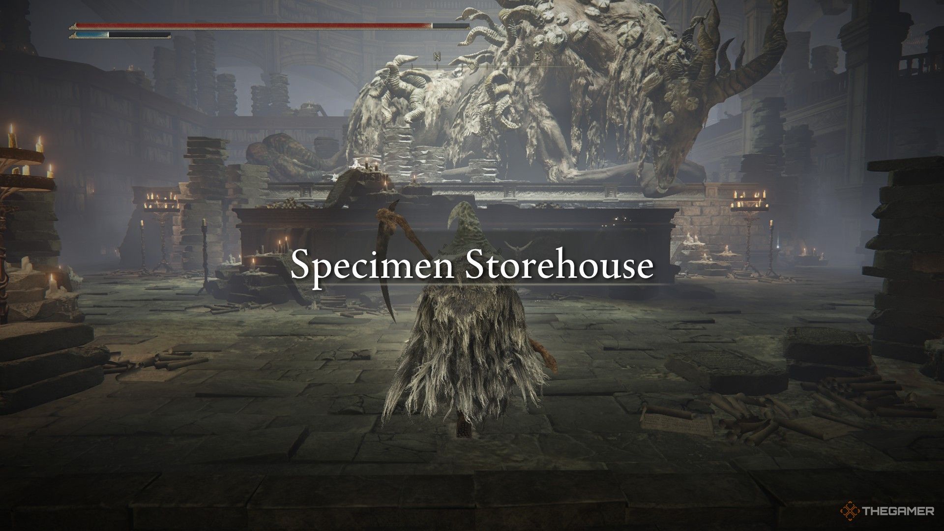 Player enters the Specimen Storehouse for the first time in Elden Ring: Shadow of the Erdtree.