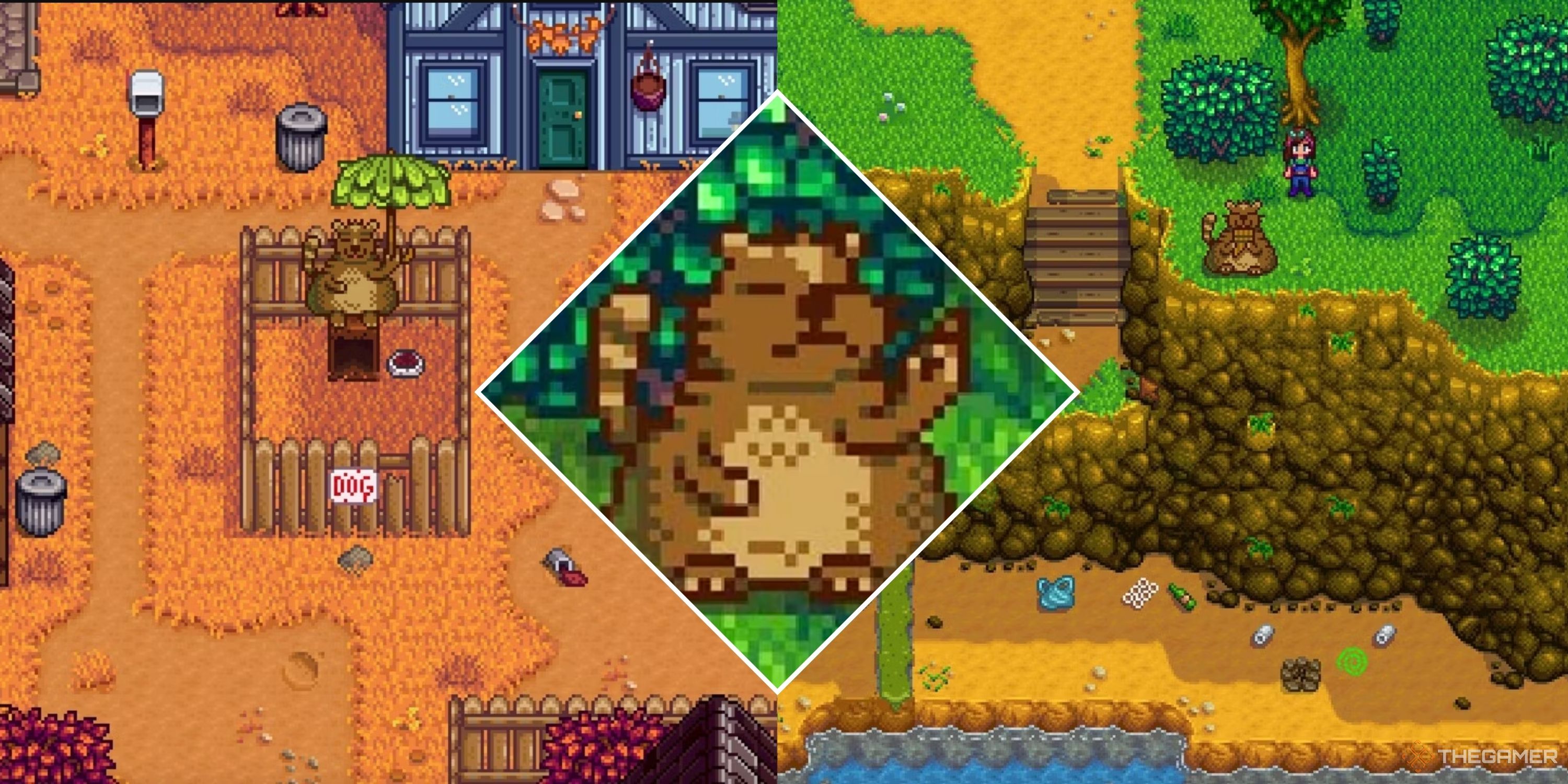 Collage image of Stardew Valley's trash bear at the dog pen, by the sewers, and a close up