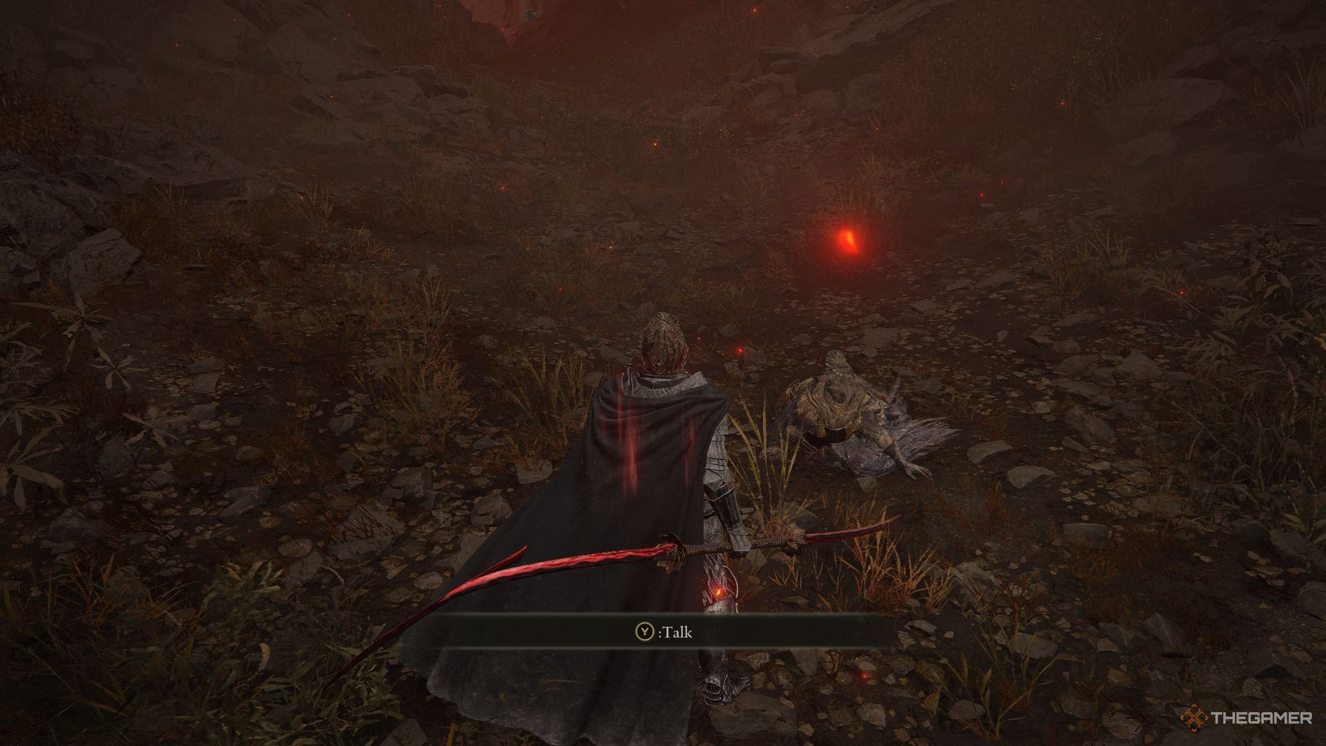 Igon and a Tarnished in Elden Ring Shadow of the Erdtree.