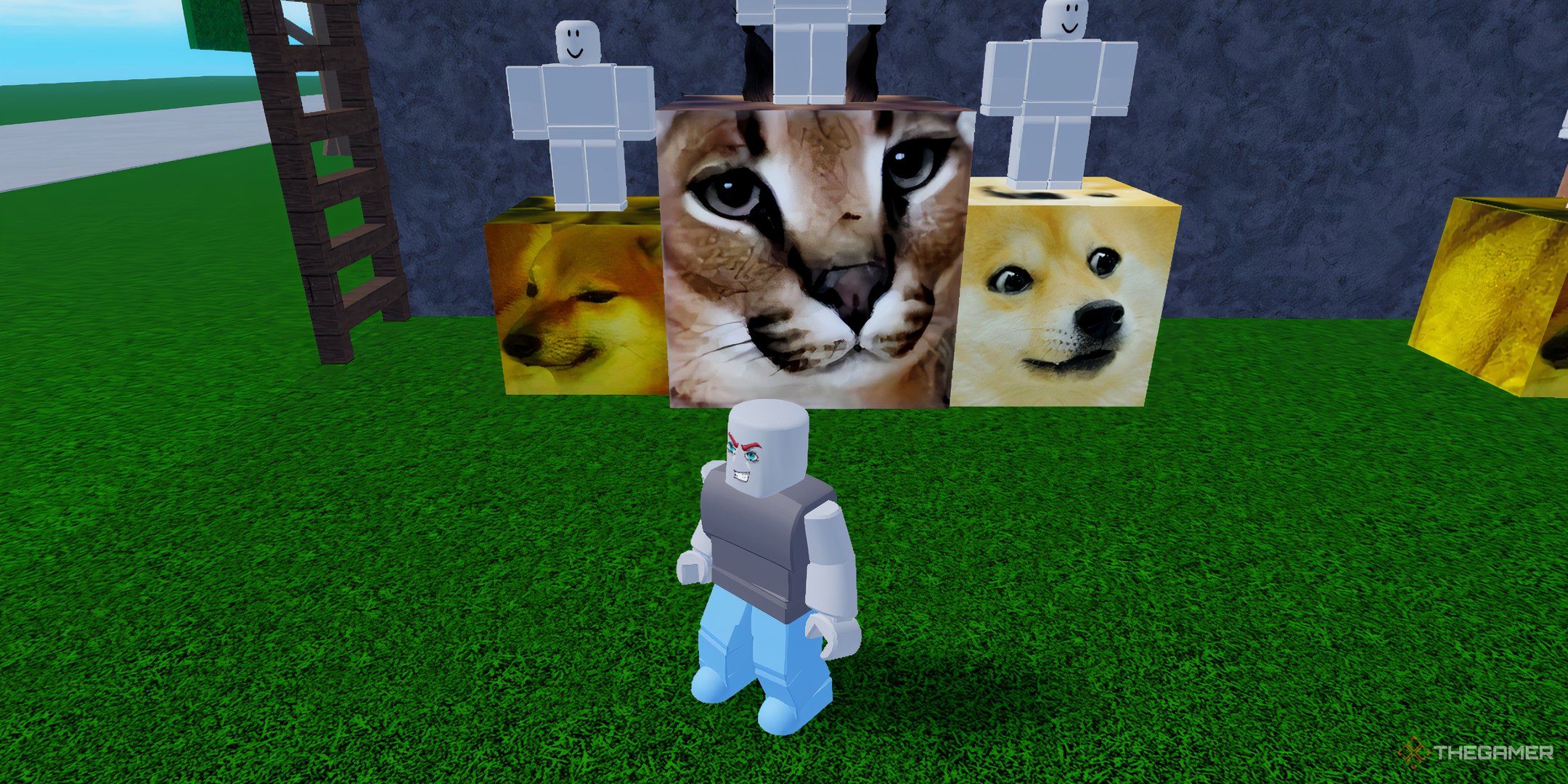 a player standing in Meme Sea on Roblox
