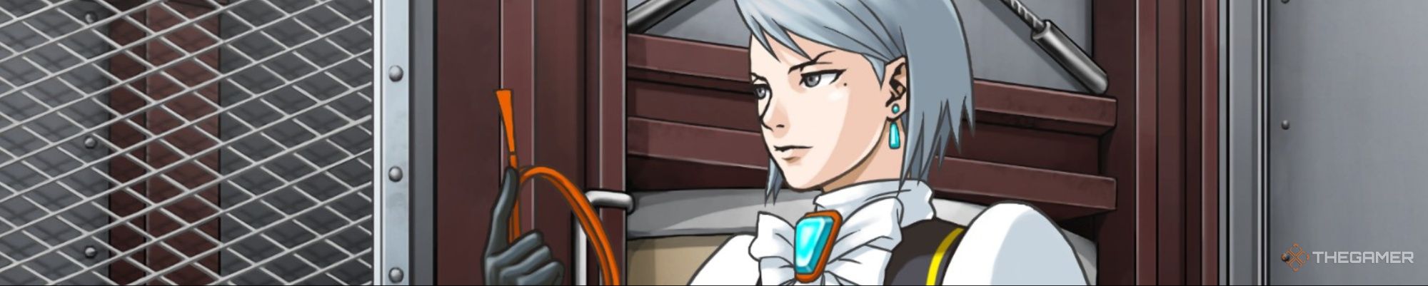 Cross examining Franziska in the airplane cargo hold in in Ace Attorney Investigations Miles Edgeworth.