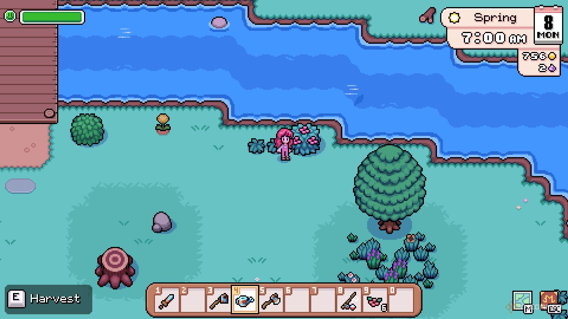 The player is standing near to a bush with berries.