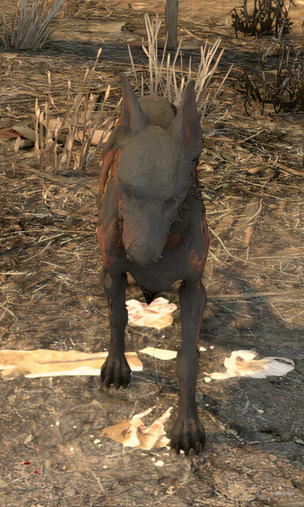 Close up view of a Zombie Dog in 7 Days To Die.