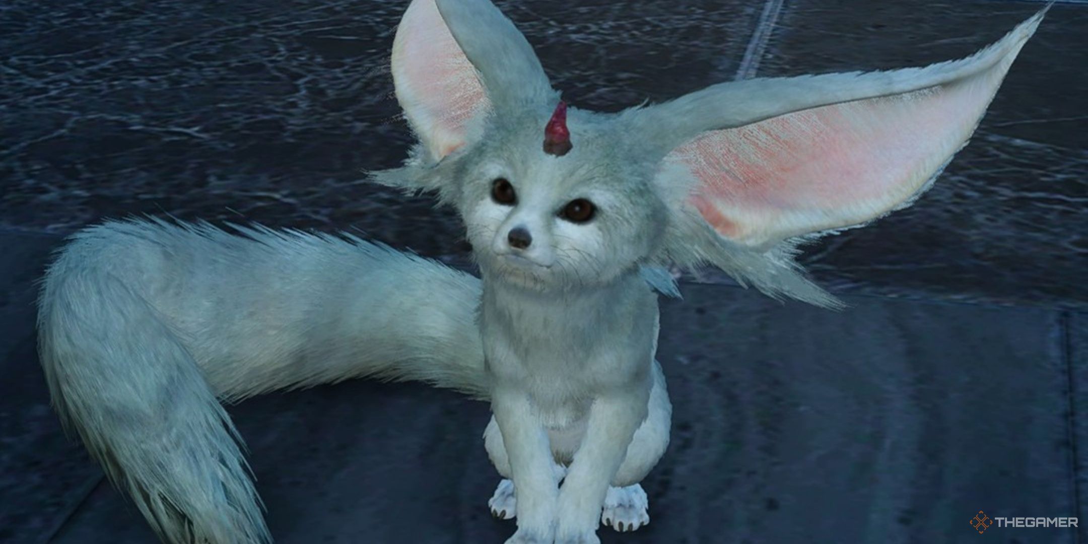 Carbuncle sitting in Final Fantasy 15.