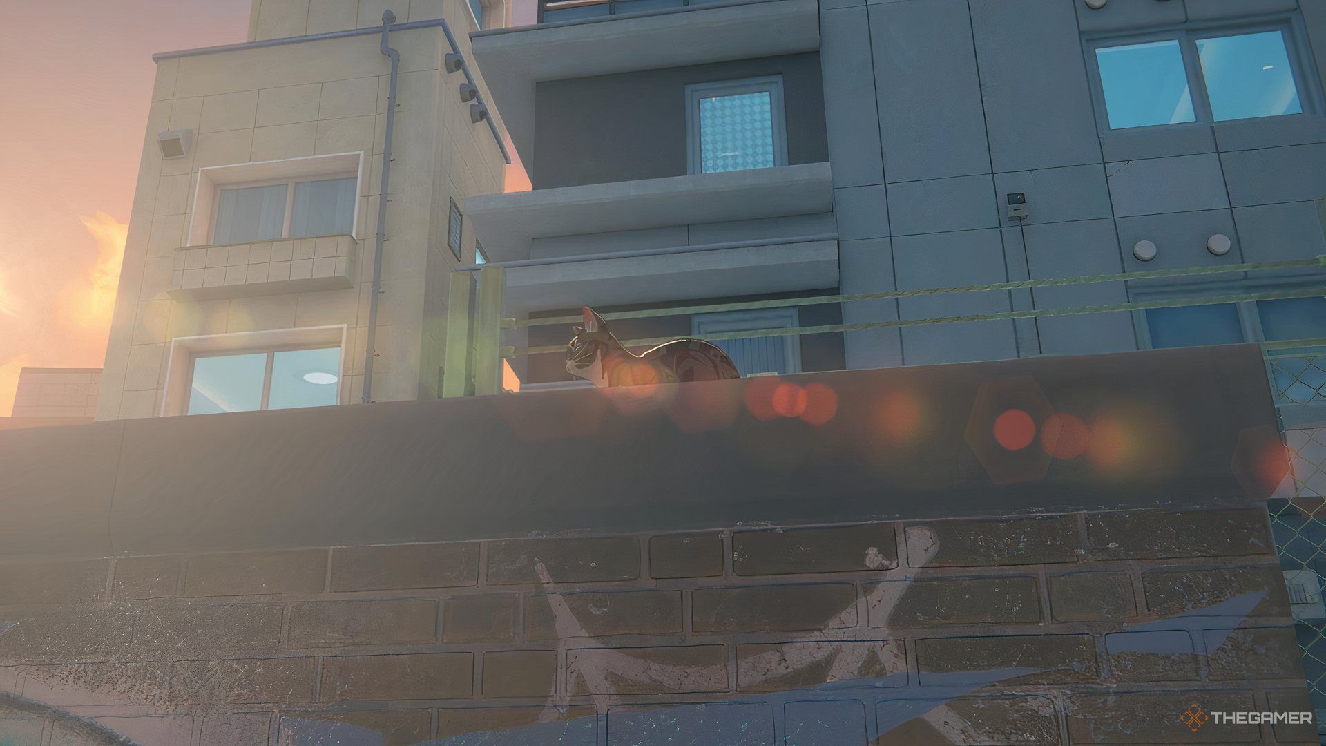 A cat resting on Sixth Street in Zenless Zone Zero.
