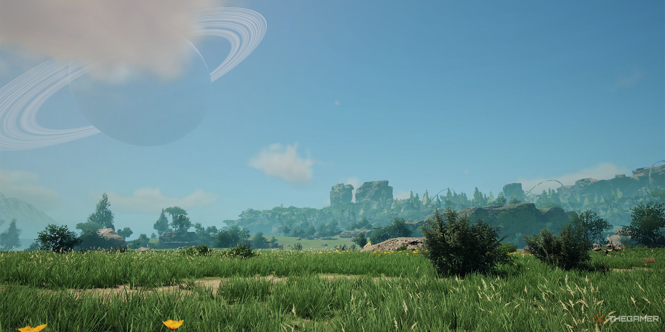 The Grass Fields starting location, featuring a large open field of grass and bushes, while cliffs can be seen in the distant background.