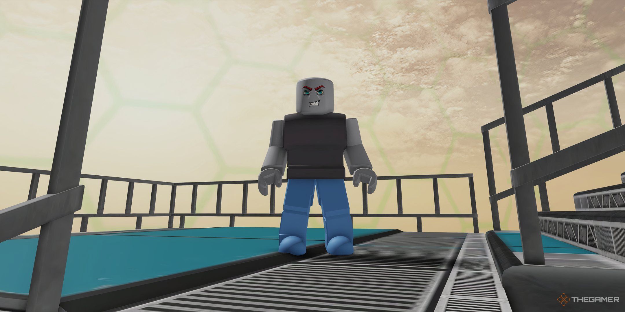 a player in Disaster City on Roblox